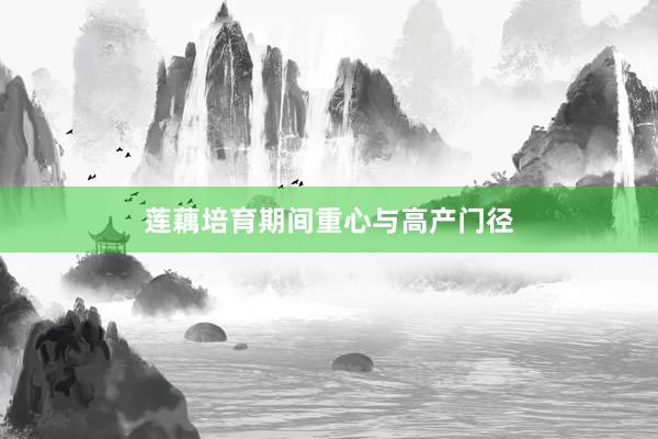 莲藕培育期间重心与高产门径