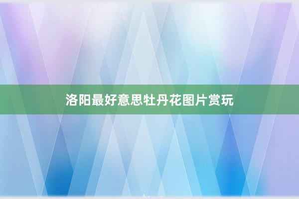 洛阳最好意思牡丹花图片赏玩