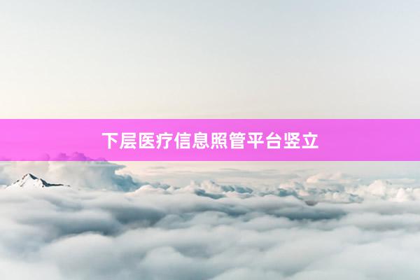 下层医疗信息照管平台竖立