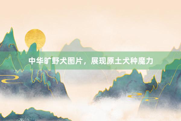 中华旷野犬图片，展现原土犬种魔力